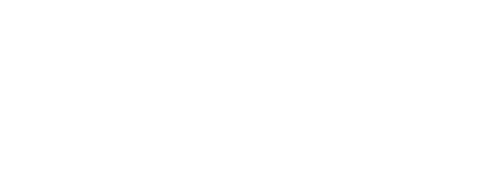 BBIX VN Footer Logo (Refined)